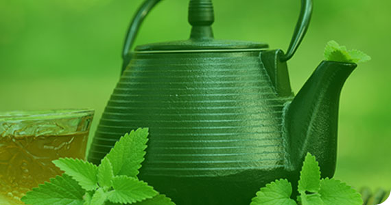 banner-1